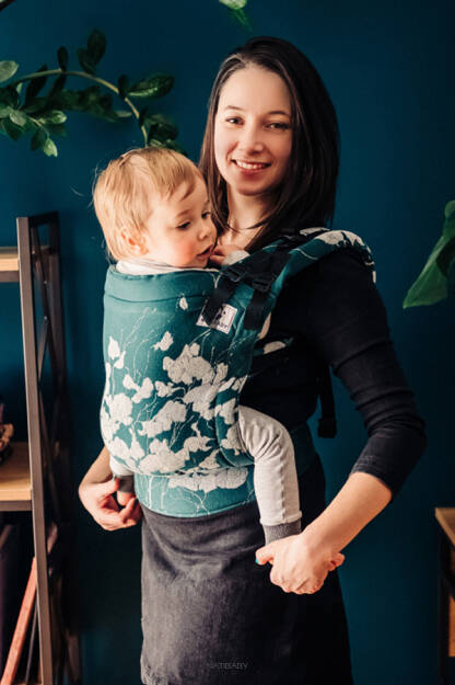 Baby carrier for 9 hotsell month old